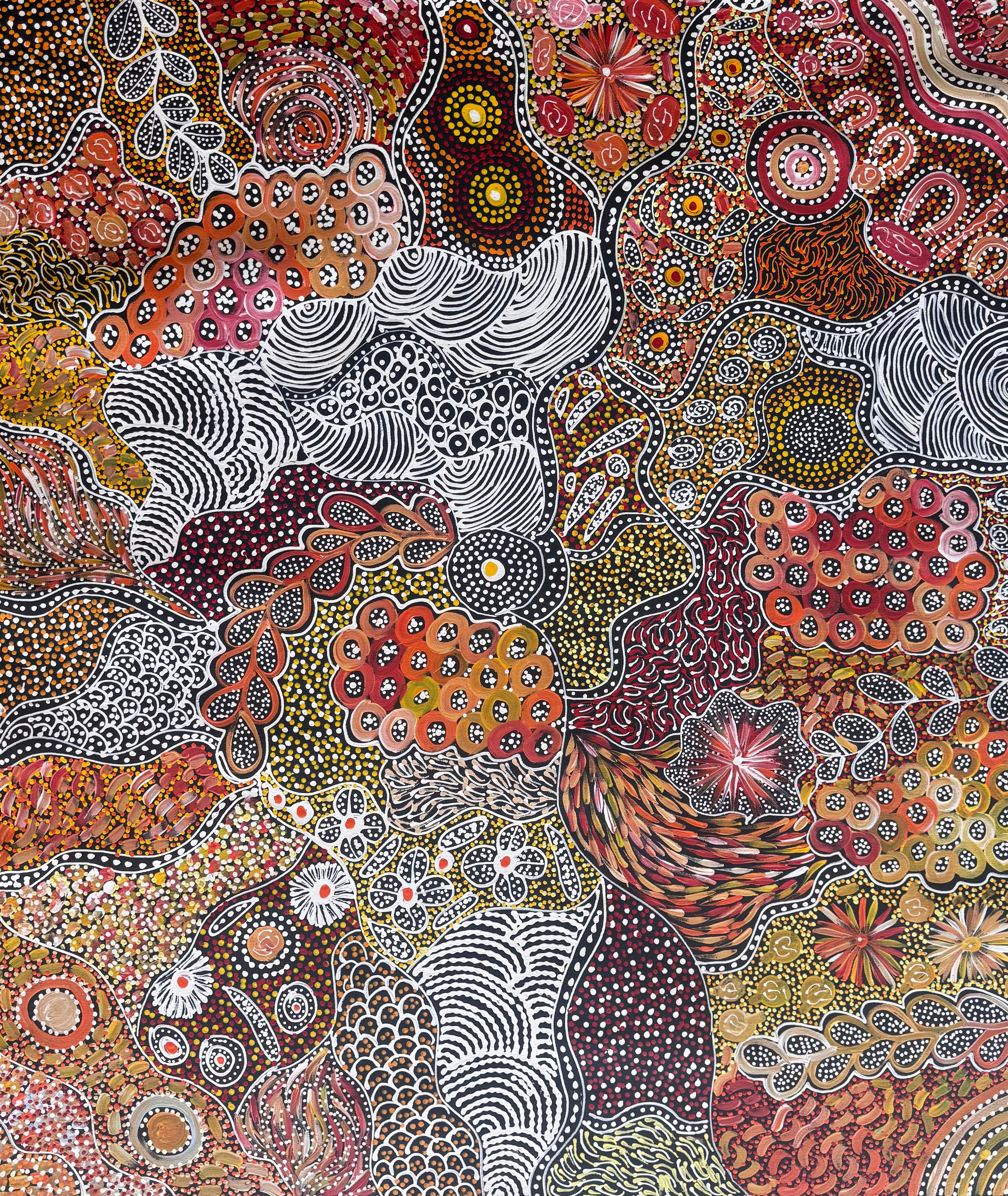 My Country, Size: 1020x1018