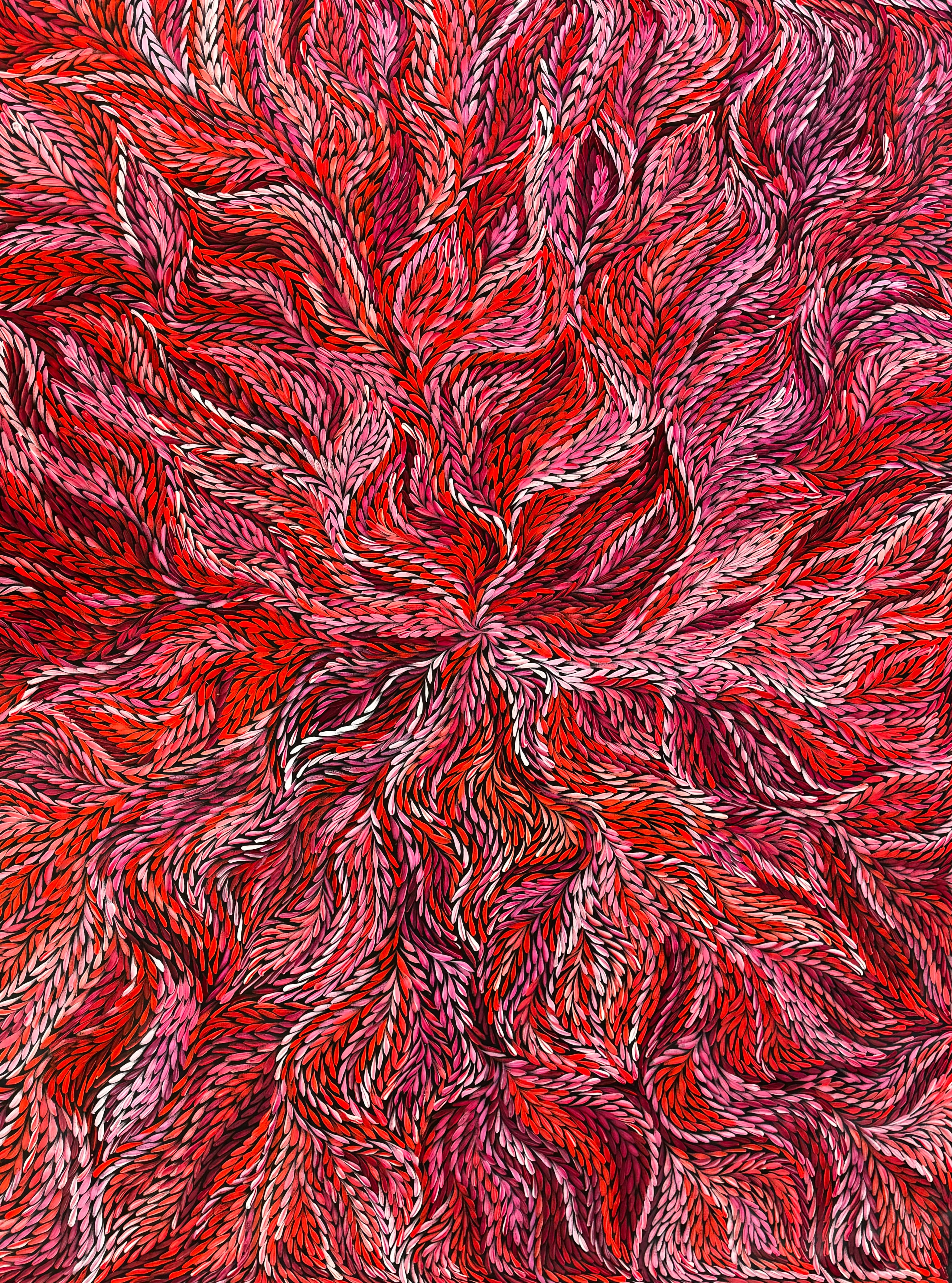 Bush Medicine Leaves, Size: 1500x1980