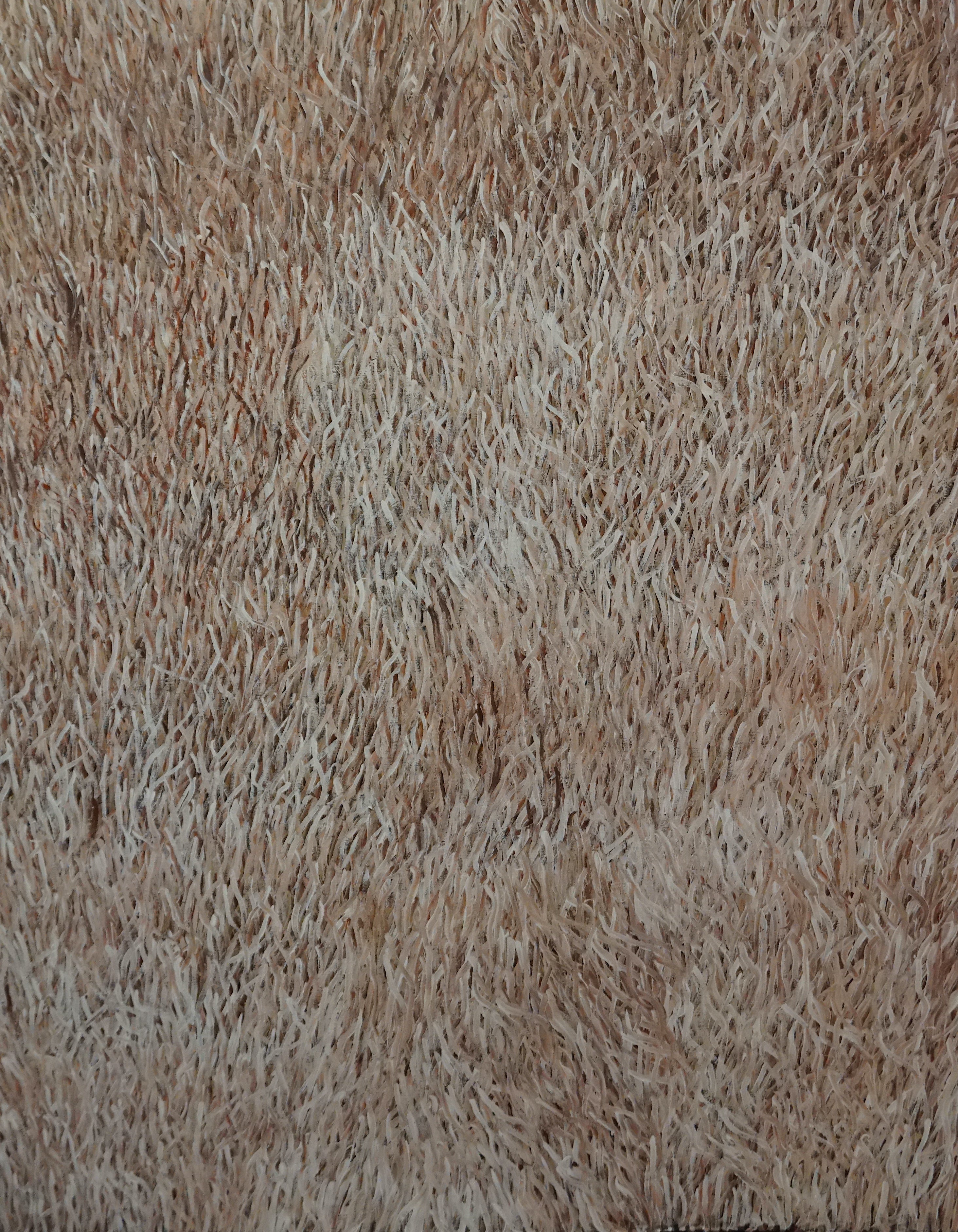 Title: Grass Seed, Size 1200x1500