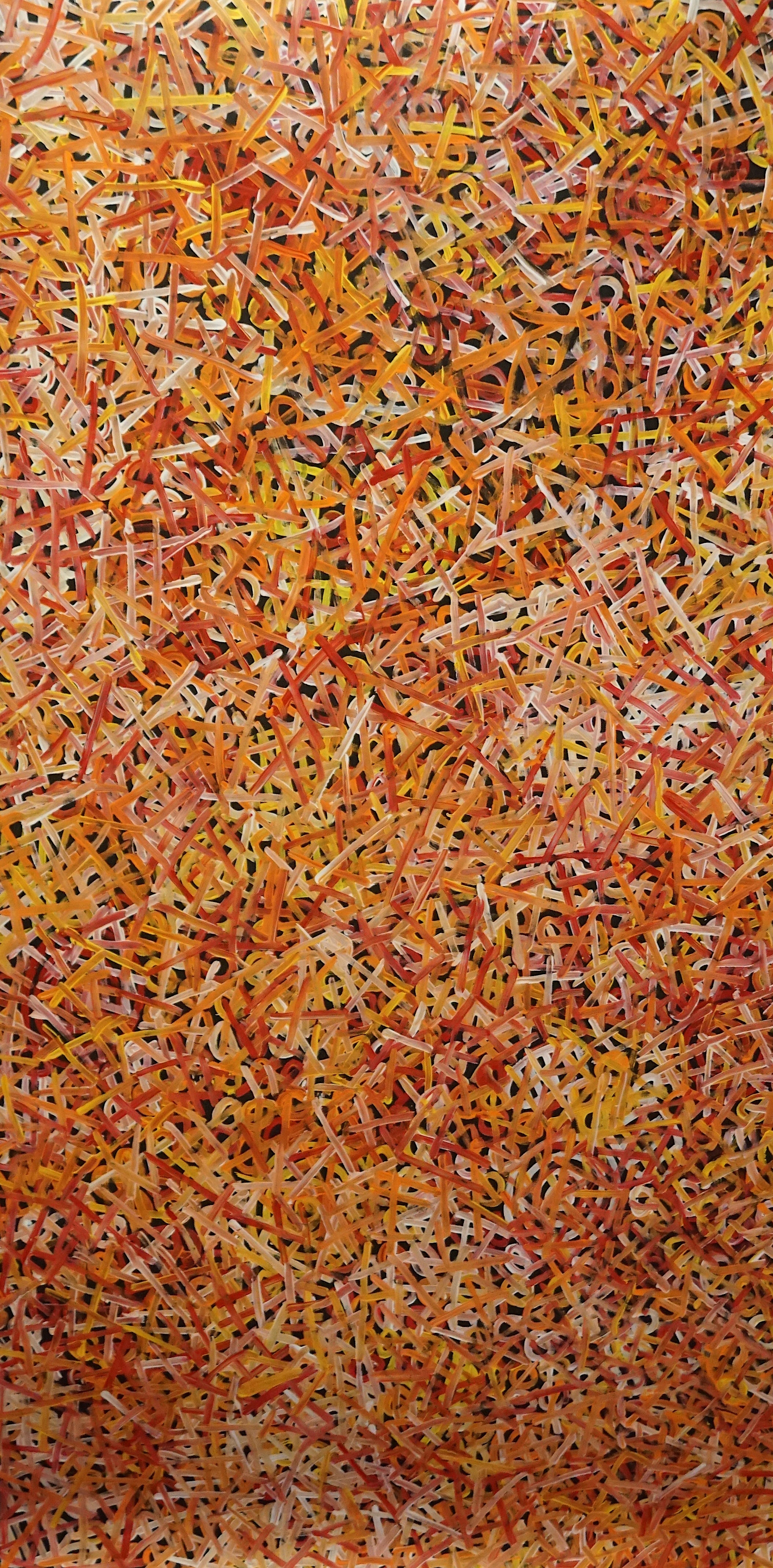 Awelye Bush Melon, Size: 1050x2000 mm