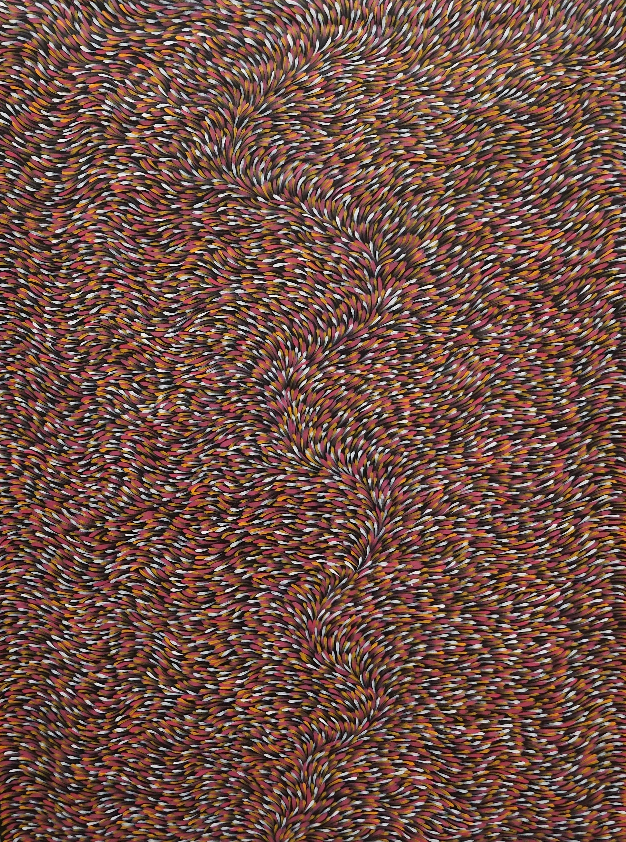 Collection Image