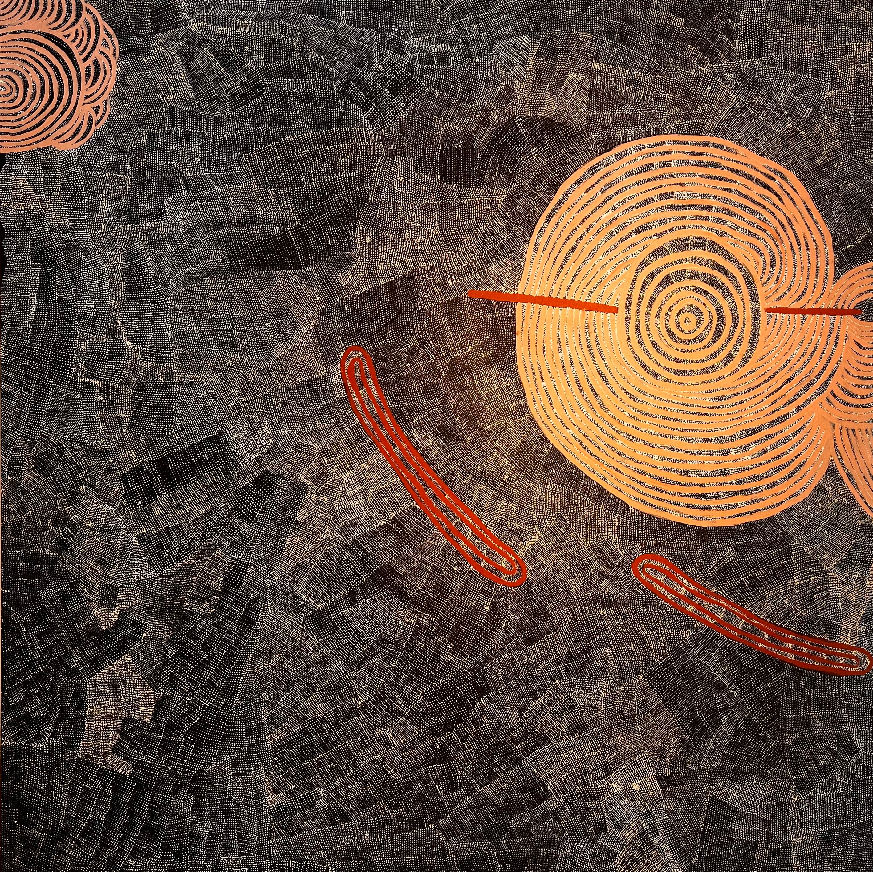 Title: Blue Tongue and Country, size 1800 x 1800 mm.