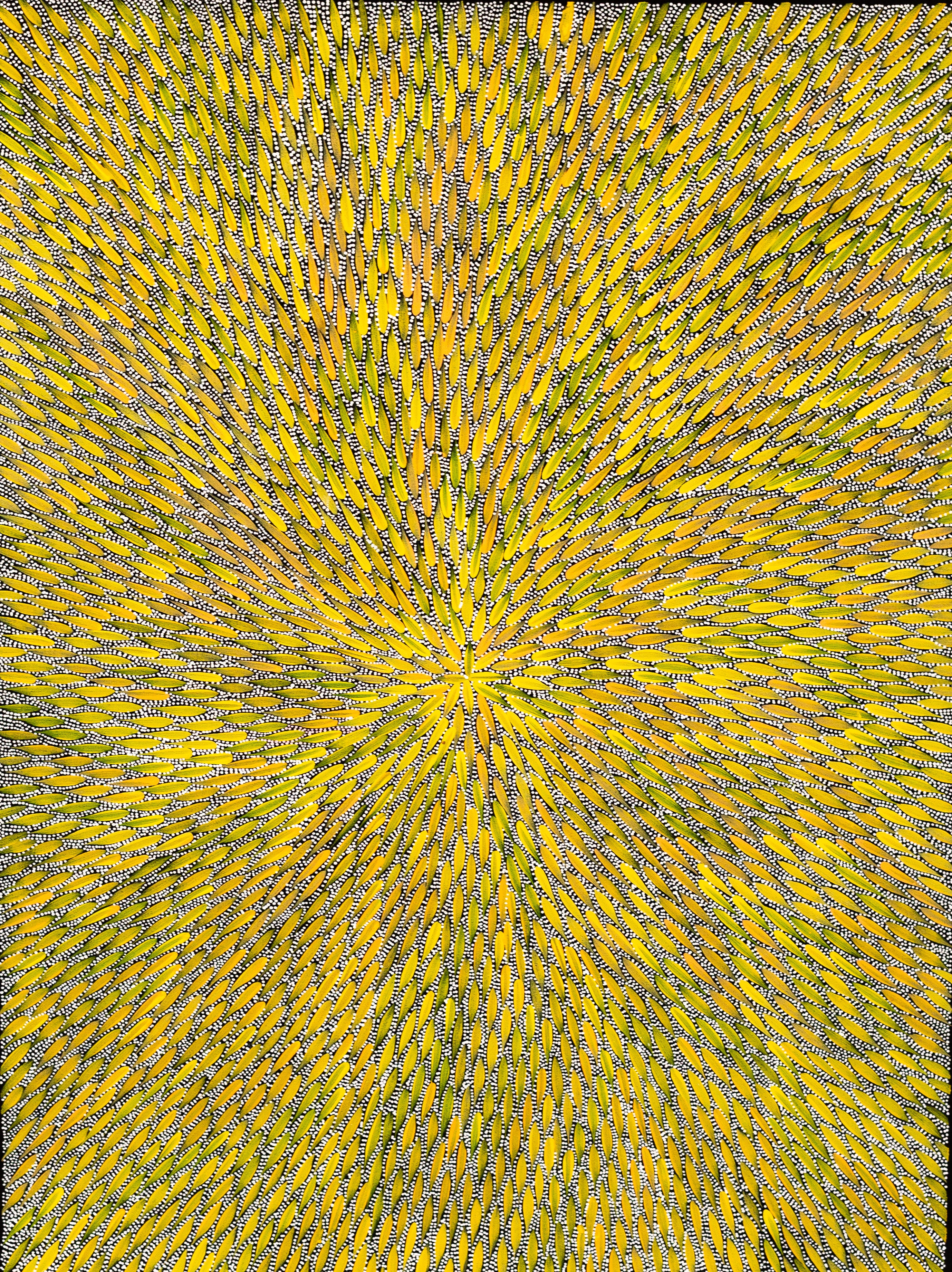 Title: Bush Medicine Leaves, size 930 x 700 mm.