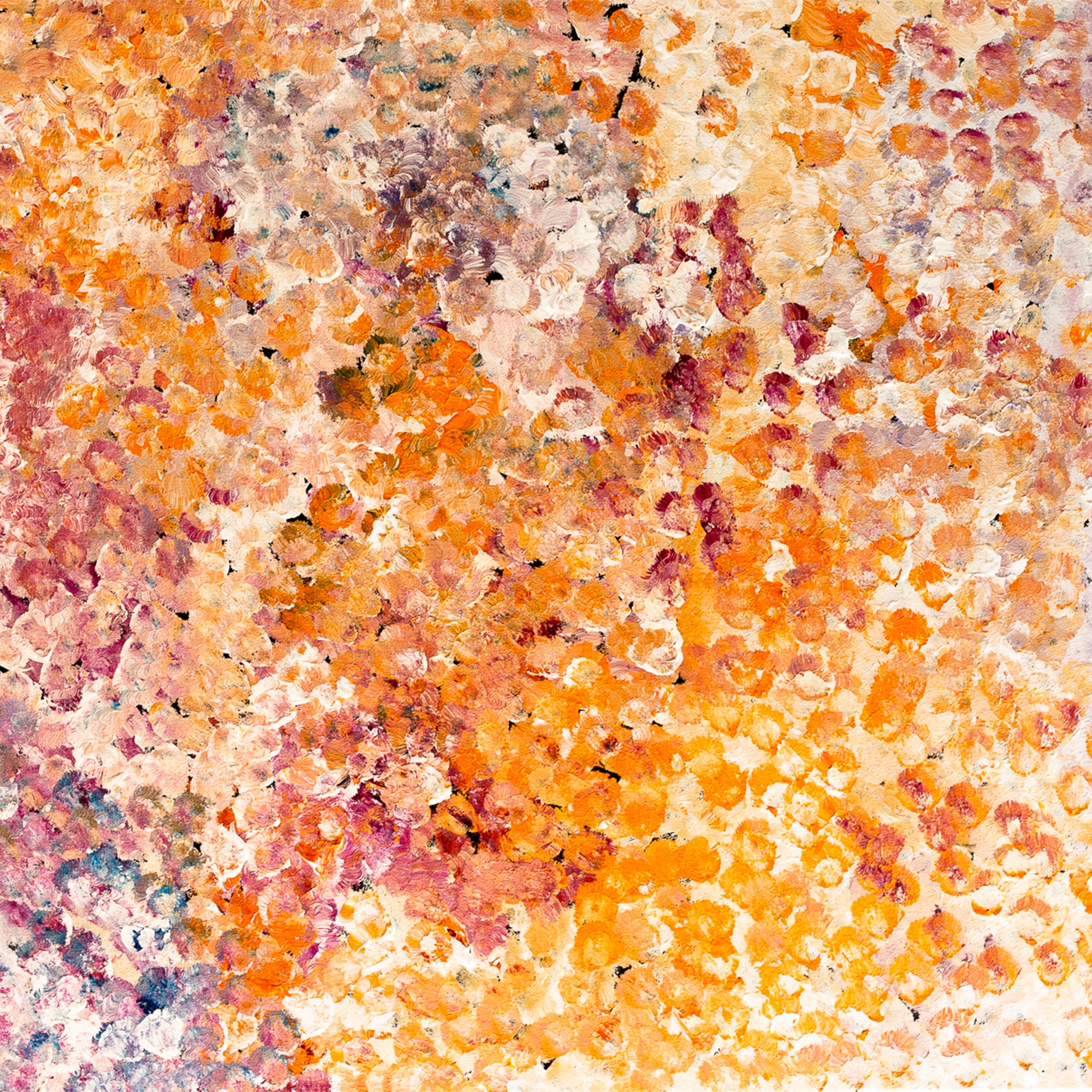 Title: Bush Plum, size 90 x 150 cm.