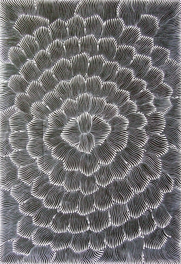 Joy Kngwarreye Jones