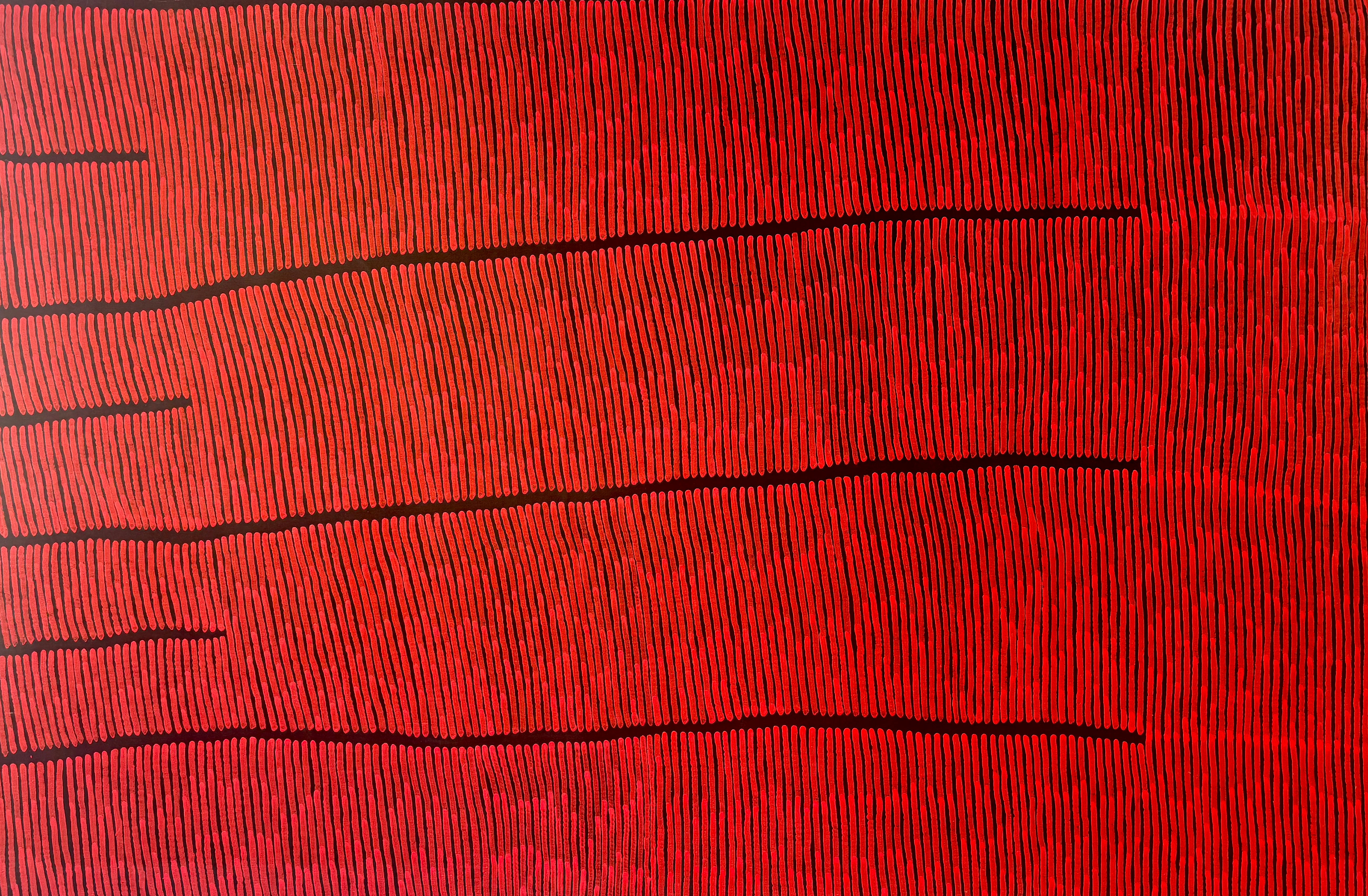Bush Fire Dreaming, Size: 1820x2740