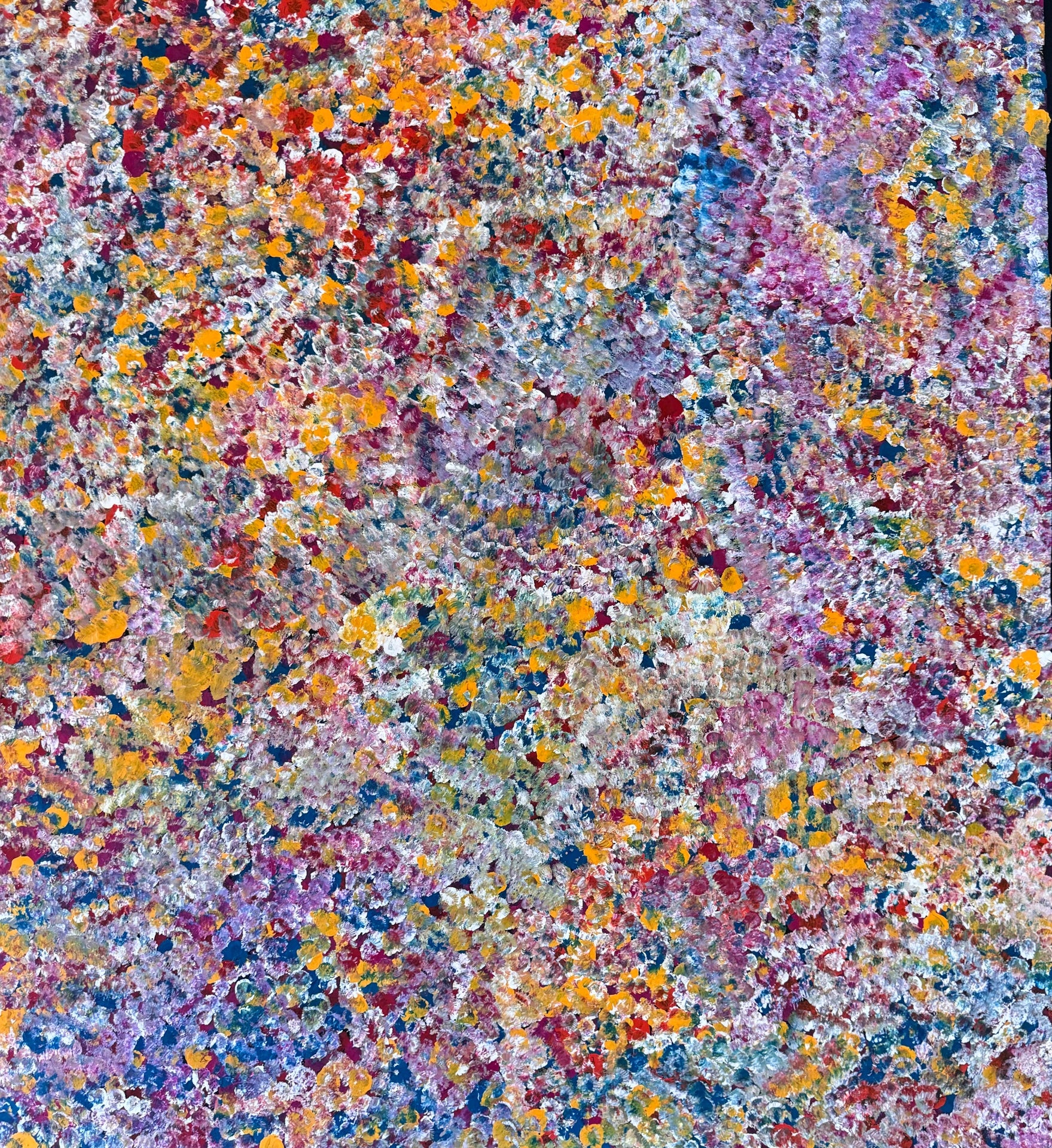 Bush plum, Size: 960x1005