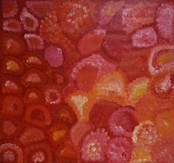 Title: Bush Yam, Size 1150x1230