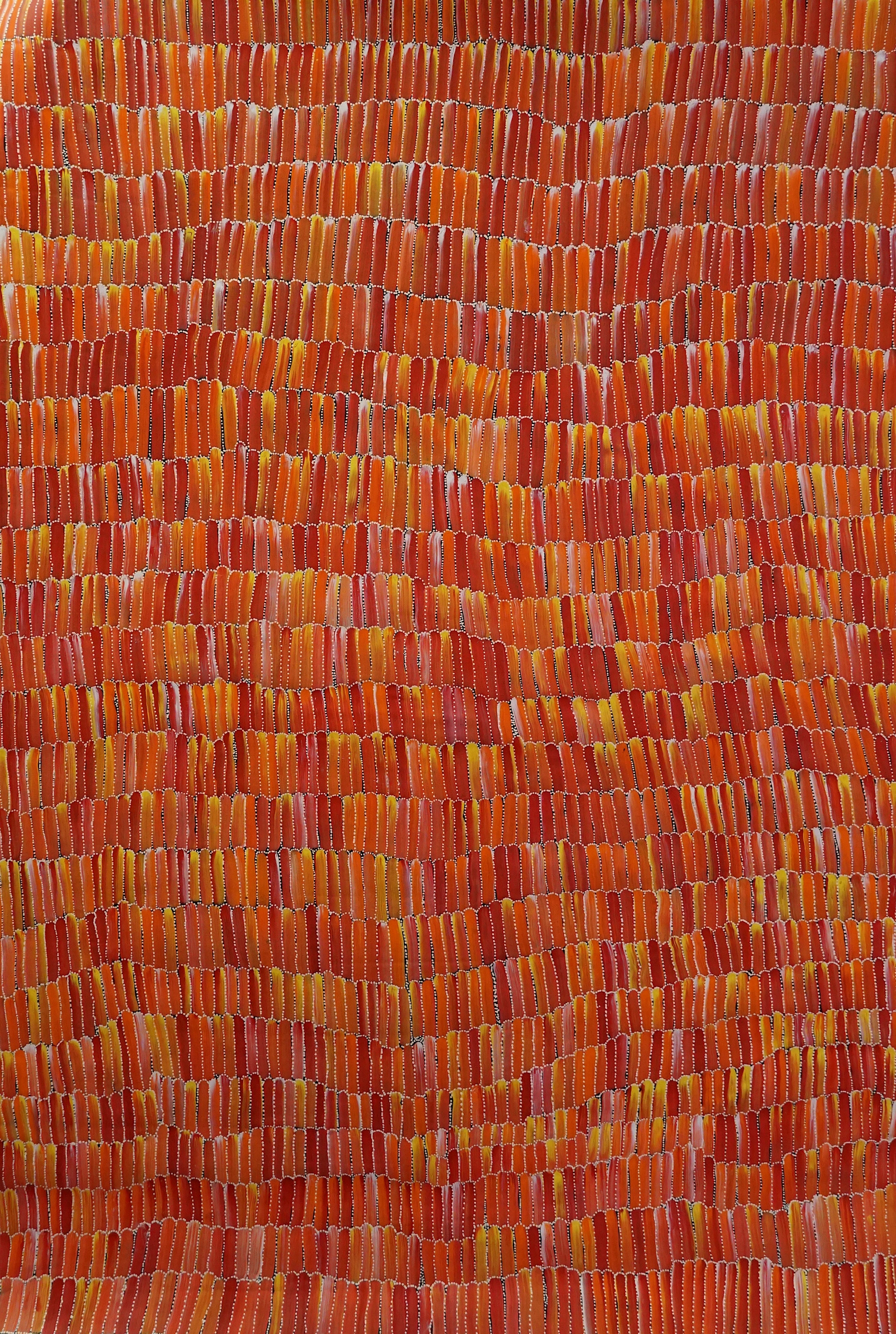Bush Yam, Size, 1400x2000