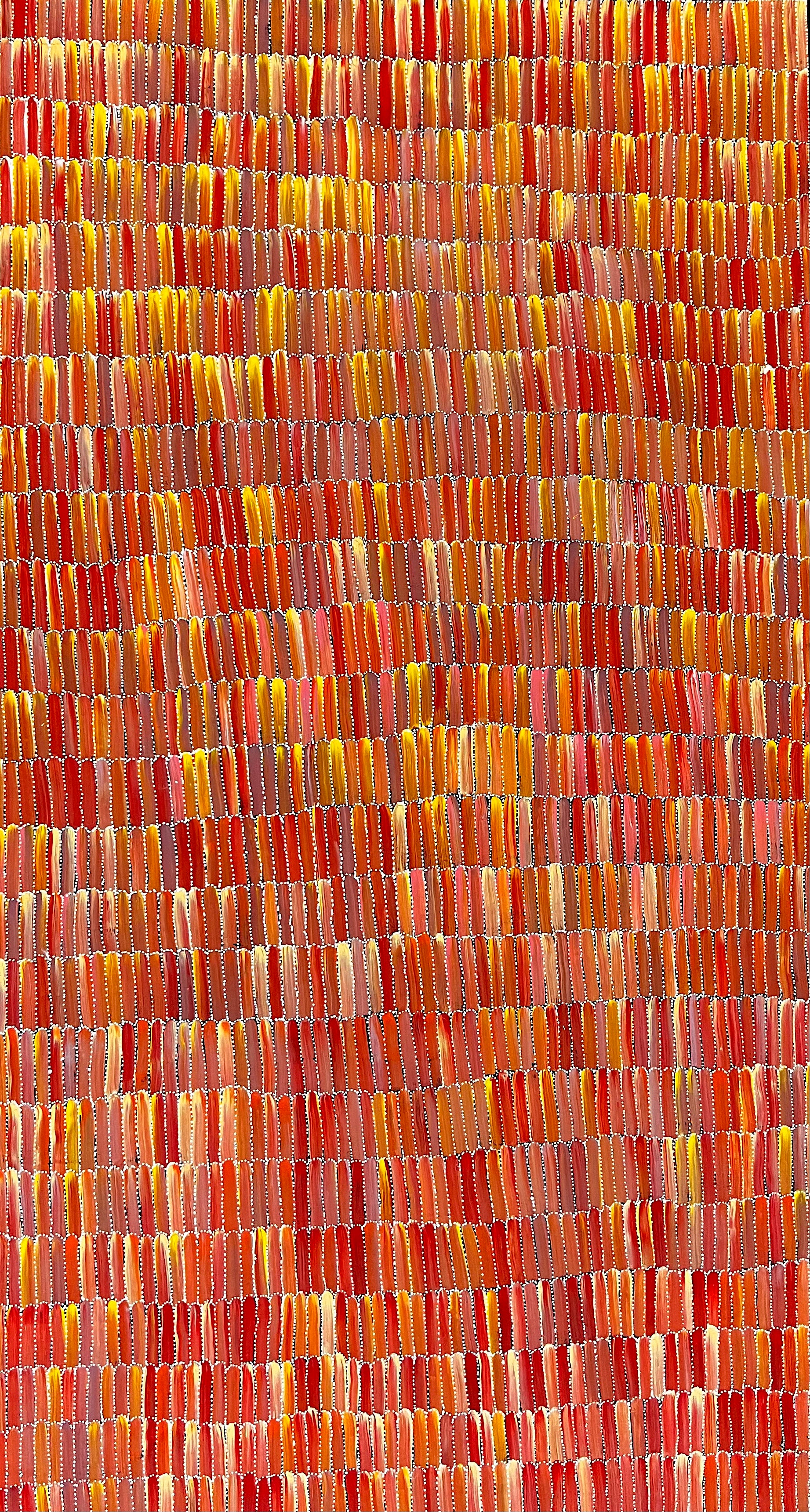 Bush Yam, Size, 1200x2000