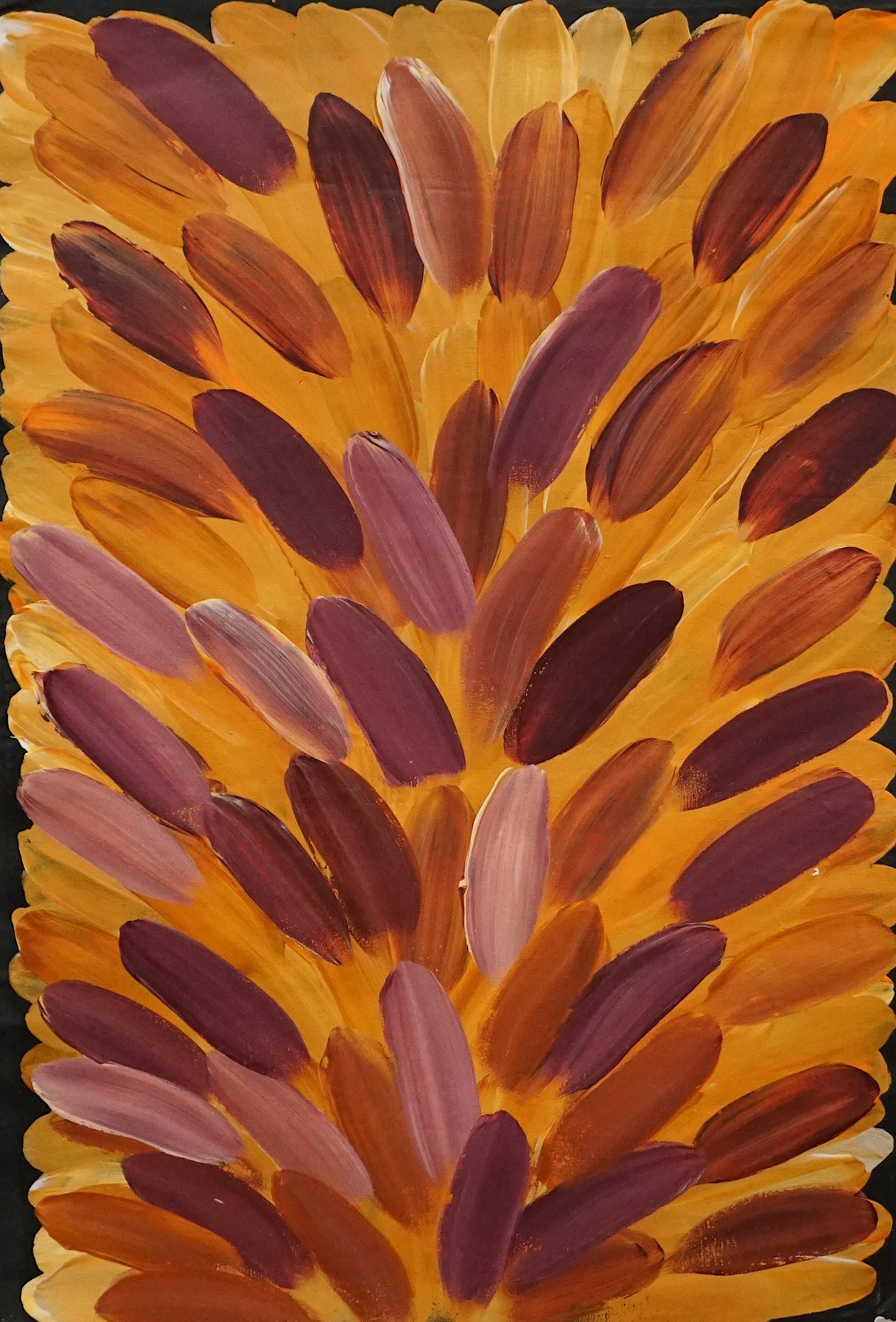 Collection Image