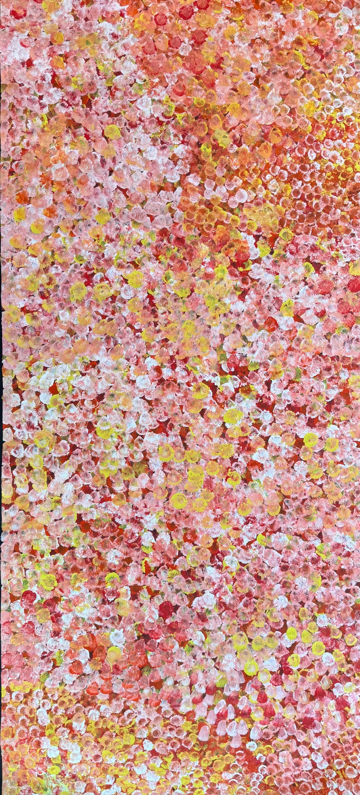 Bush Plum, size, 890x1990