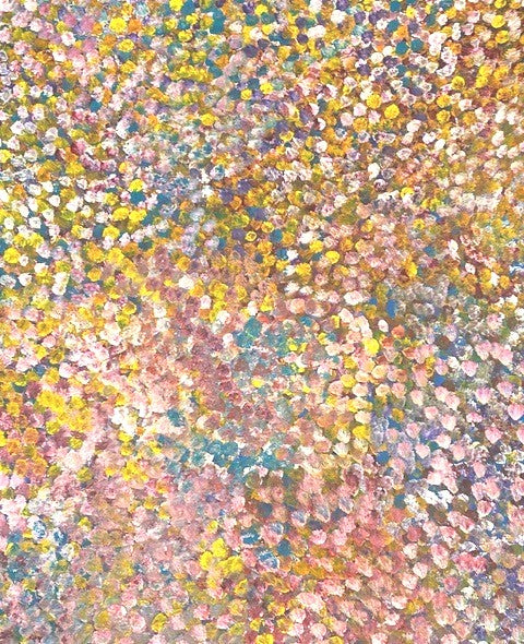 Title:  Bush Plum, size 700 x 870 cm.